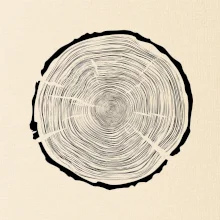 Letokruhy 100 bez věku