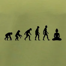 Evoluce budha