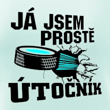 Já jsem prostě útočník (hokej)