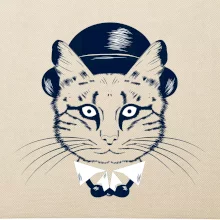 Kočka hipster s kloboukem