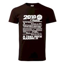 2010 v kostce