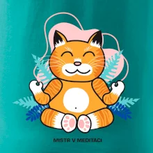 Kočka - mistr v meditaci (Pecka design)