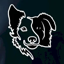 Border kólie obrys hlavy