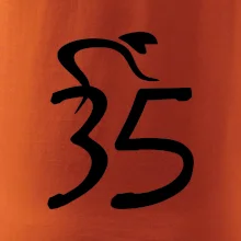 Cyklista slaví pětatřicítku (35)