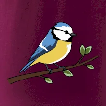 Sýkorka modřinka na větvi