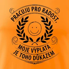 Pracuju pro radost. moje výplata je toho důkazem