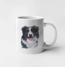 Border kolie vodová barva