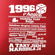 1996 v kostce