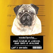 Lump a darebák mopsík