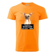 Lump a darebák čivava