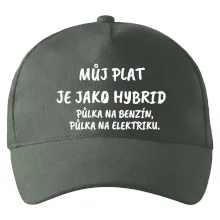 Můj plat jako hybrid