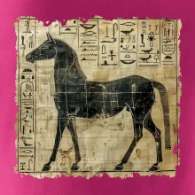 Egyptské hieroglyfy kůň