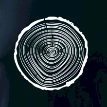 Letokruhy 20 bez věku