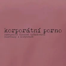 Čeština 2.0 - korporátní porno