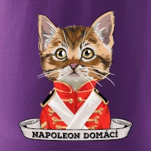 Napoleon domácí kočka