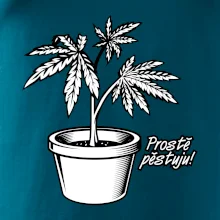 Konopi prostě pěstuju