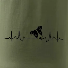 Jack Russell Terriér Ekg