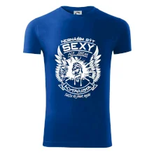 Nesnáším být sexy - kytarista