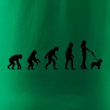 Lagotto romagnolo Evoluce