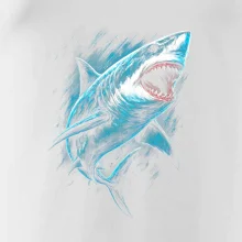 Obrázek žralok v akci