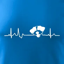 Jack Russell Terriér hrubosrstý Ekg