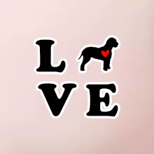 Lagotto romagnolo LOVE