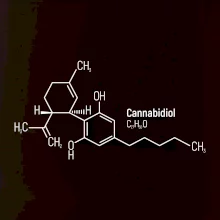 Molekulární struktura CBD (Canabidiol)