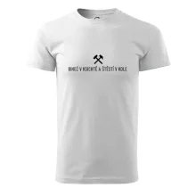 BINEĆ V KSICHTĚ A ŠTĚSTÍ V KOLE﻿