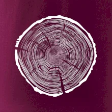 Letokruhy 95 bez věku