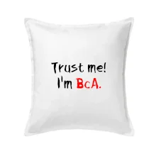 Trust me I´m  BcA. / Věř mi jsem BcA.
