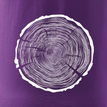 Letokruhy 100 bez věku