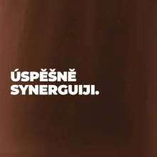 ÚSPĚŠNĚ SYNERGUIJI.
