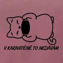 V karanténě to nedávám