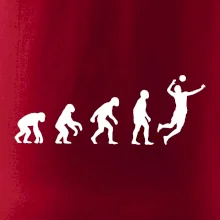 Evoluce volejbal muž