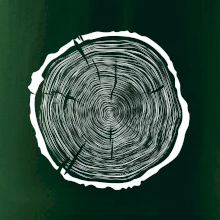 Letokruhy 70 bez věku