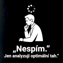 Nespím. Jen analyzuji optimální tah.