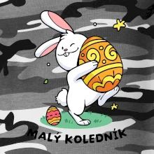Malý koledník