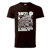 1971 v kostce