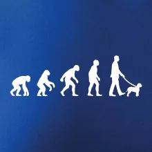 Lagotto romagnolo Evoluce