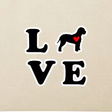 Lagotto romagnolo LOVE