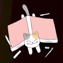 Učení na státnice kočka