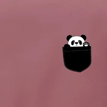 Panda v kapse