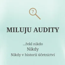 Miluju audity řekl nikdo nikdy