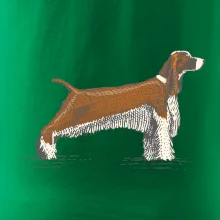 Vintage Springer spaniel