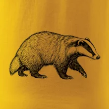 Zvířata Krkonoš – jezevec lesní