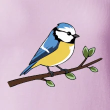 Sýkorka modřinka na větvi