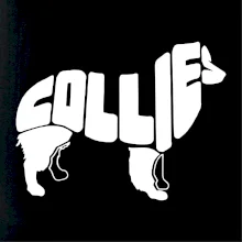 Border kolie písmo v těle