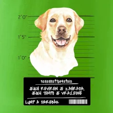 Lump a darebák labrador