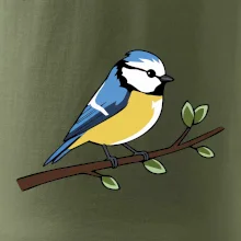 Sýkorka modřinka na větvi