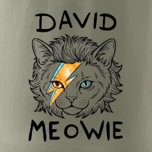 David Meowie